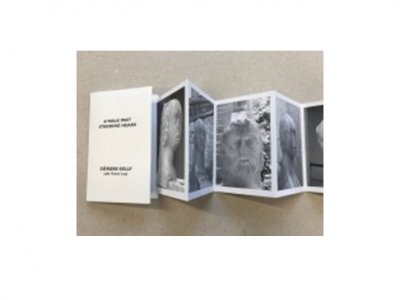 Artists’ Books: an artist and curator’s talk