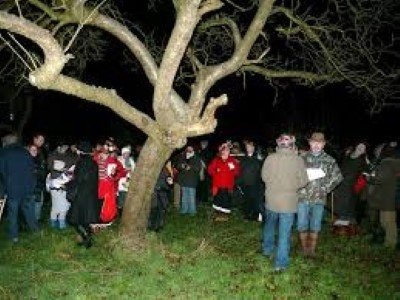 Croxley Green Wassail 2020