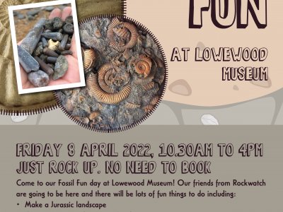 Fossil Fun at Lowewood Museum