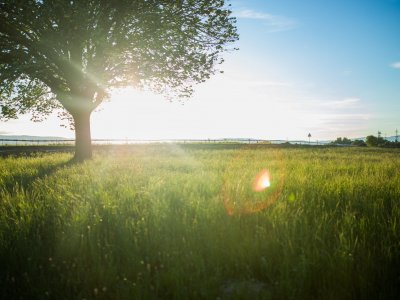 Free wellbeing course about overcoming stress