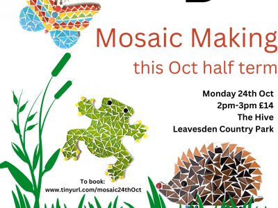 Herts & Middlesex Wildlife Mosaic Workshop