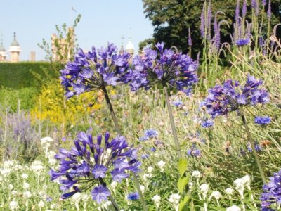 Painting Day - Art in the Garden