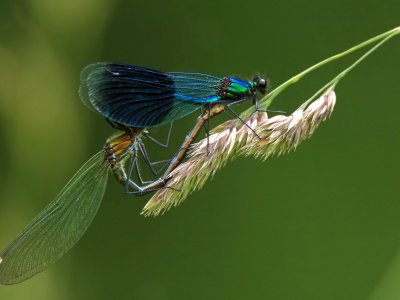 Photographing Nature Workshop - Part 1