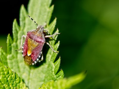 Photographing Nature Workshop Part 2