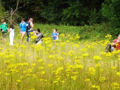 Photography Walk at Rickmansworth Aquadrome