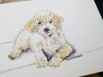 The Art Social- Watercolour pet portraits