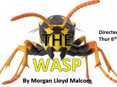 The Wasp