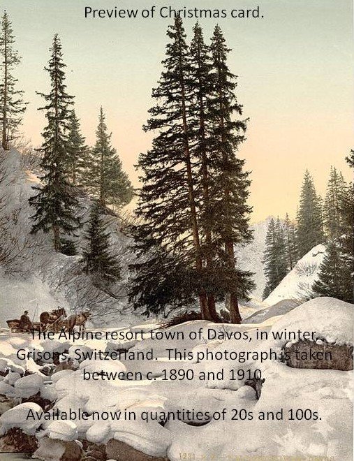 Alpine winter scene