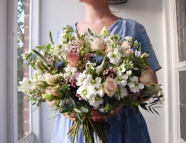 Ferns and Daisies