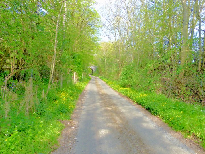 Railway Bridge on Raffin Green Lane - 16th April 2020