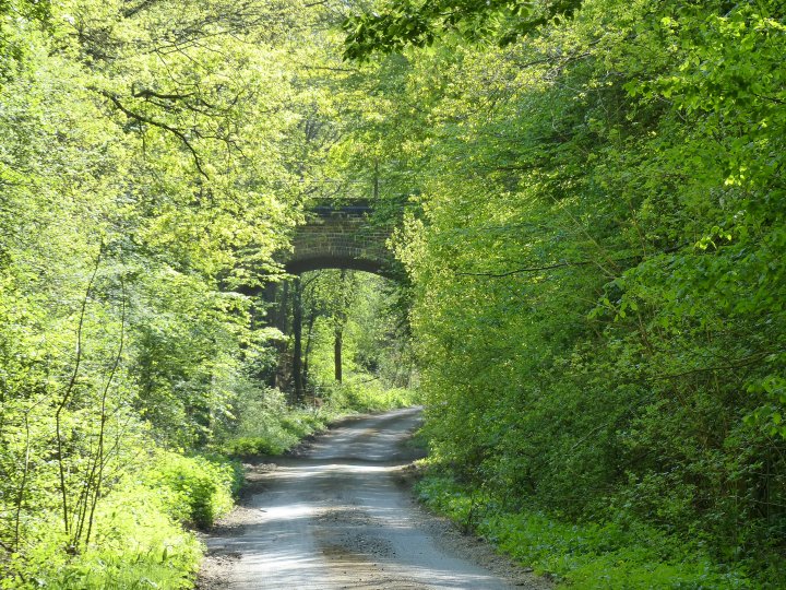 Railway Bridge on Raffin Green Lane - 23rd April 2020