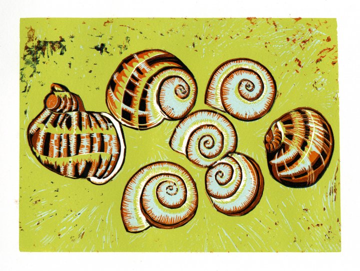 Snail Shells