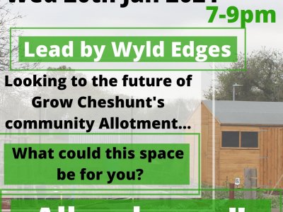 Grow Cheshunt & Wyld Edges Community Visioning workshop