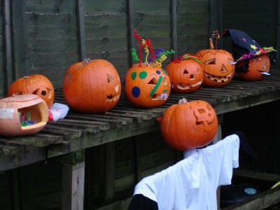 Pumpkin Trail & Treats - tickets now on sale