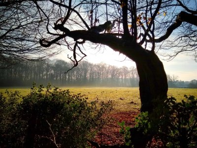 Practical Conservation Volunteer Taster Day with CMS