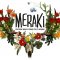 MerakiFestival