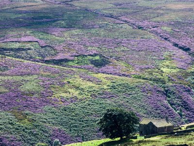 A River Runs Through It - Walk - 3 ml circular to Malkinhouse,