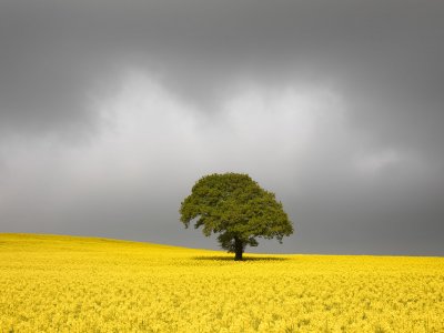 Beginners Photography Workshop - West Yorkshire