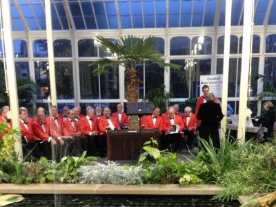 Christmas Music and Carols in the Greenhead Park Conservatory