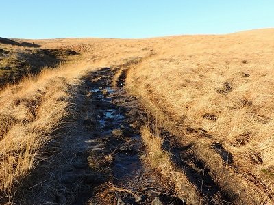 Hidden From Sight: exploring the role textiles in the landscape