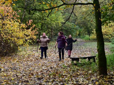 Making Tracks - ART IN THE WOODS, Inclusive Outdoor Art Workshop