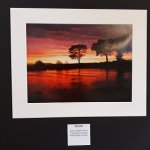 Market Showcase: Matthew Brown Photography Exhibition