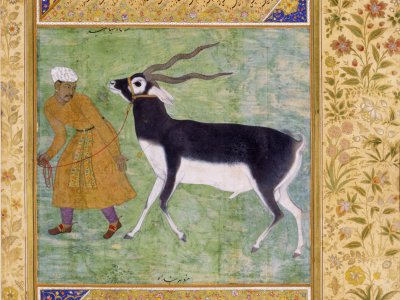 Mughal Paintings from the V&A