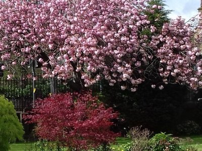 Poetry in Greenhead Park