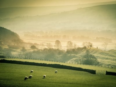 The Part Singers Easter week release - John Tavener's The Lamb