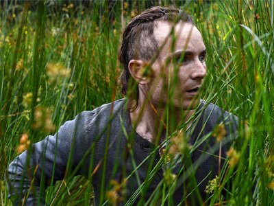 The Survivalist