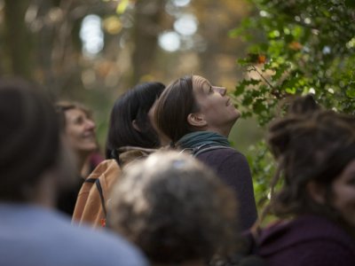 Tree Time at Bagshaw Museum and Wilton Park