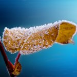 WinterSongs - singing workshop Slaithwaite