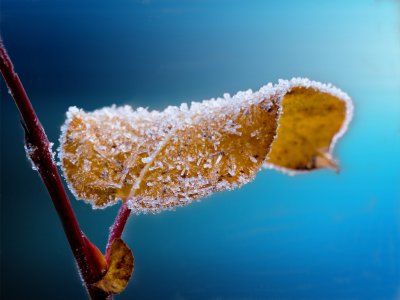 WinterSongs - singing workshop Slaithwaite