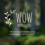 WOW Wednesdays Accountability Membership; Creative Entrepreneurs