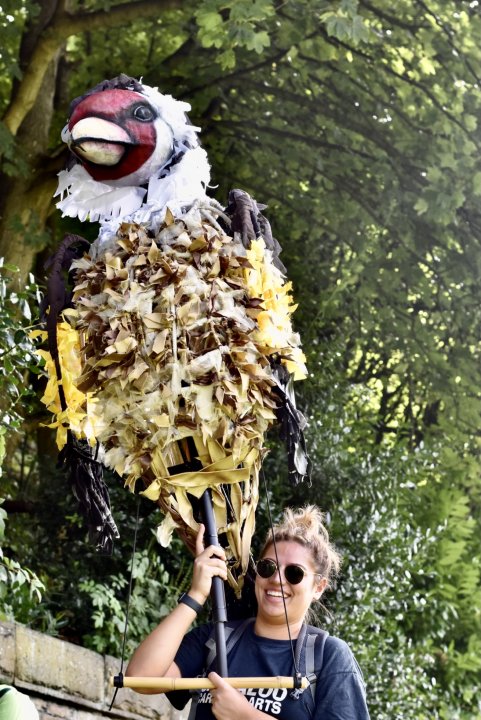 Giant Goldfinch spotted at Holmfirth Arts Festival!