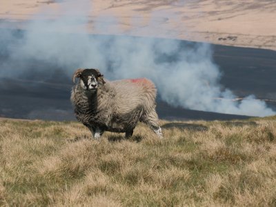 God's Own Country - Di Carey Photographic Exhibition