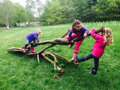 Babes in the Wood Family Forest School