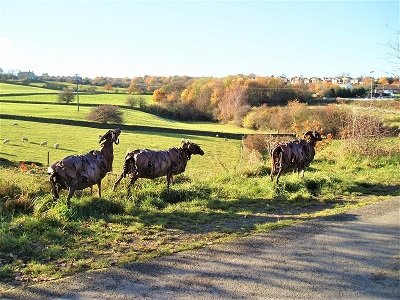 Discovering the Treasures of the Spen Valley