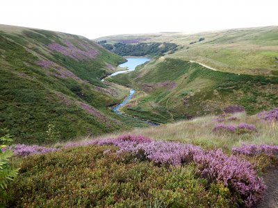 Marsden National Trust