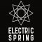 Electric Spring