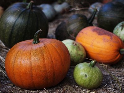 Apple and Pumpkin Day