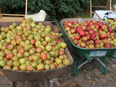 Apple Day & Autumn Festival