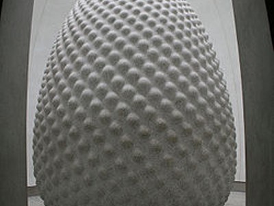 Art & The Brain: Peter Randall-page & Semir Zeki 28 July