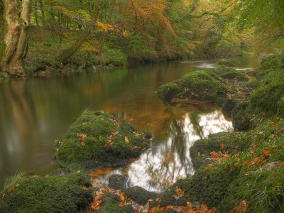 Autumn Landscape Photography Workshops