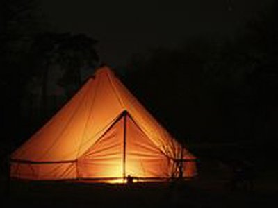 Camping in Torre Abbey Gardens