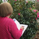 Cockington Sketchbook Tour at Cockington Court