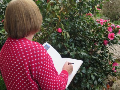 Cockington Sketchbook Tour at Cockington Court