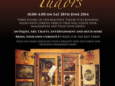 Curiosity Fair @ Tudors