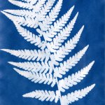 Cyanotype workshop with Rebecca Chesney