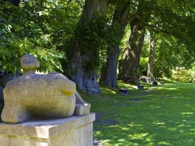 Dartington Gardens tours